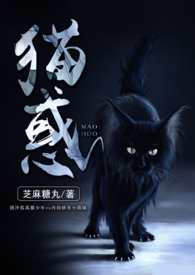猫惑校园小说